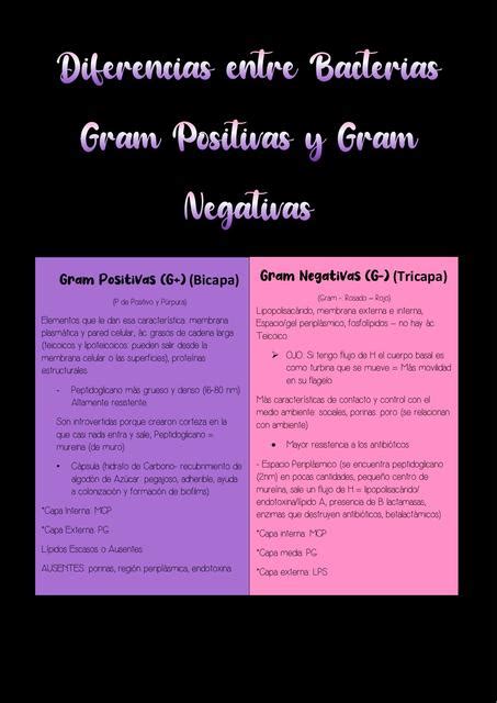 Cuadros Comparativos Entre Bacterias Gram Positivas Y Gram Negativas