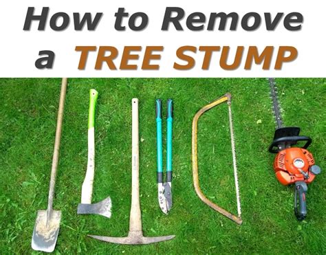 How To Remove A Tree Stump Easily Without Chemicals Hubpages