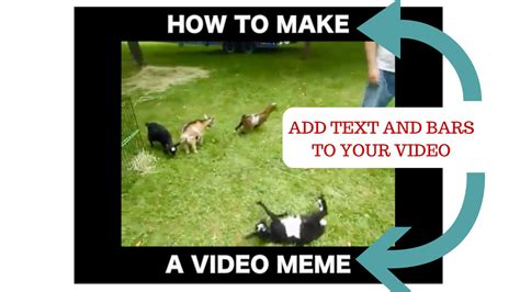 Video Editor Meme