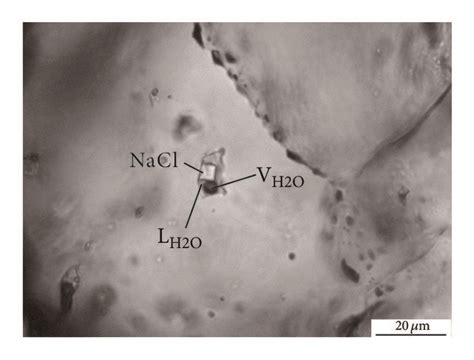 Photomicrographs Of Representative Fluid Inclusions From The Chafagou