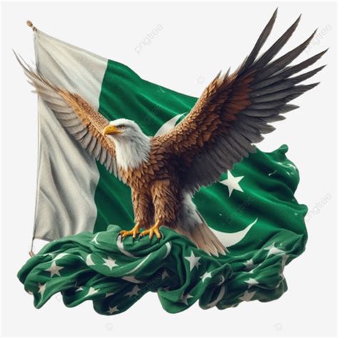 Eagle With Pakistani Flag Independence Day Background Flag