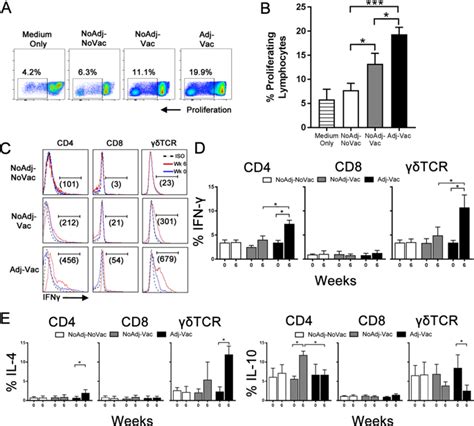 Cellular And Mucosal Immune Responses Following Vaccination With