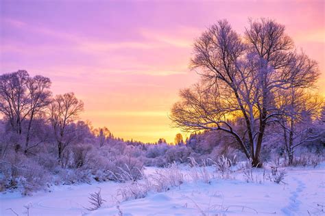 Cold winter landscape with snow and sunset - Your Health