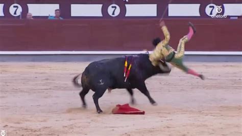 Spanish Bullfighter Gored In The Rectum Video