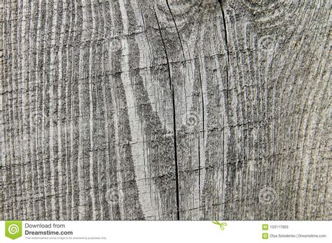 Grey Wood Texture Background Stock Image - Image of grain, natural ...