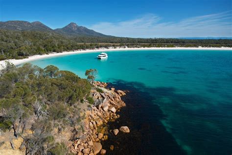 Wineglass Bay Cruises