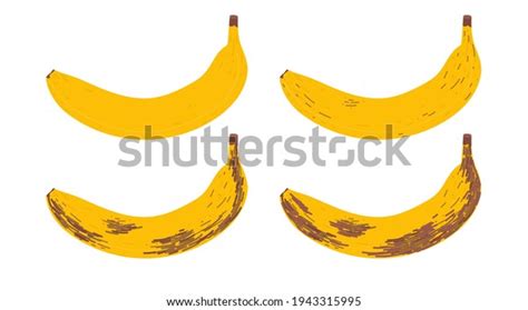 Illustration Ripening Stages Banana Cute Flat Stock Vector (Royalty ...