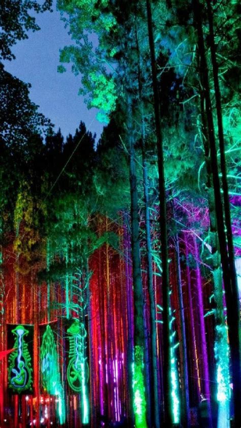 Neon Forest Background