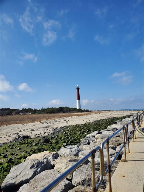 Not Just Tomatoes: Celebrating the Legacy of the Garden State | The