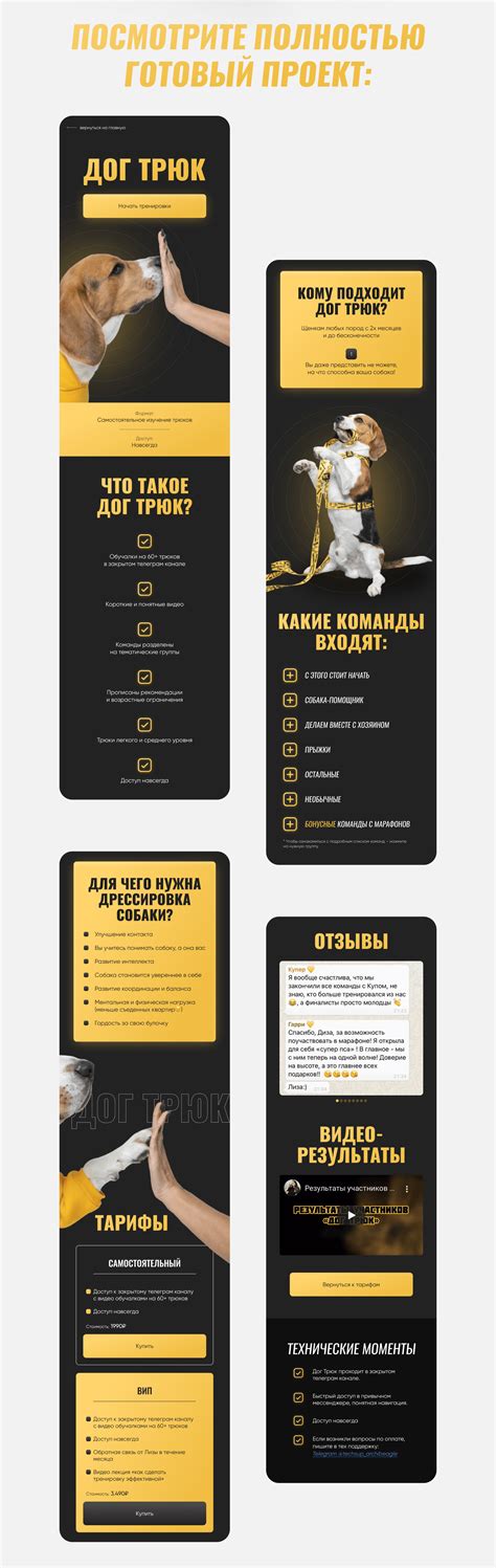 Taplink для курса по трюкам on Behance