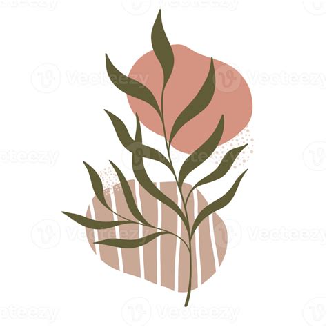 Aesthetic Leaf Plant With Abstract Shapes Minimalist Style Nature