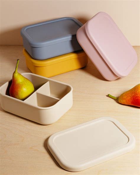 Coco Lunchbox Silicone Bento Box In 2024