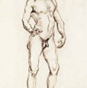 Standing Male Nude Seen From The Front Painting By Vincent Van