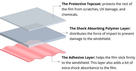 Protective Film For The Windshield at Timothy Mitchell blog