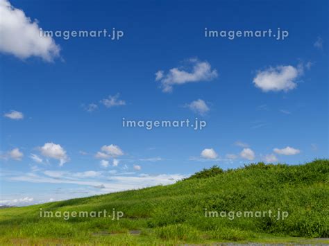 河川敷から見上げる新緑と青空の風景の写真素材 [197325866] イメージマート