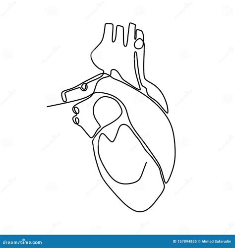 Silueta De Coraz N Humano Anat Mico De Una L Nea Continua Dise O