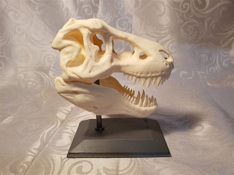 Tyrannosaurus T Rex Skull High Quality 3D Printed 150 X 95 Etsy