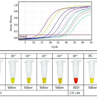 Curva estándar de reacciones de RT qPCR panel A y límite de detección