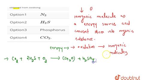 Chemosynthesis Equation