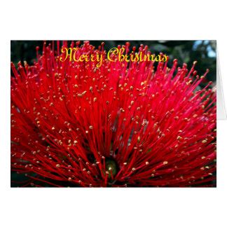 New Zealand Christmas Cards | Zazzle