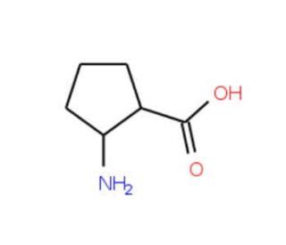 Cis Amino Cyclopentanecarboxylic Acid Cas Scbt Santa