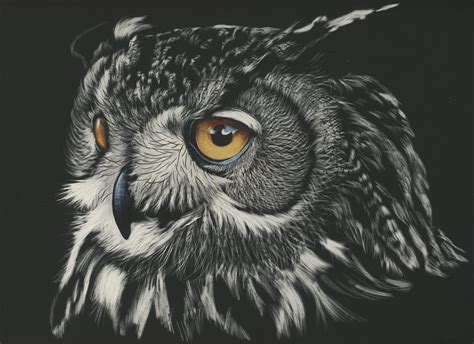 Owl Artwork Wallpapers - Top Free Owl Artwork Backgrounds - WallpaperAccess