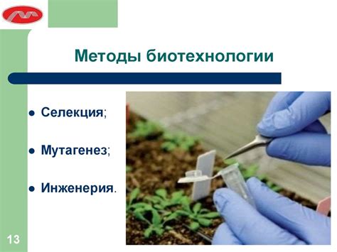 Введение в биотехнологию - online presentation