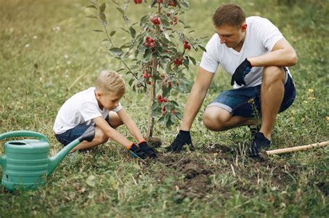 P Re Avec Petit Fils Sont En Train De Planter Un Arbre Sur Une Cour