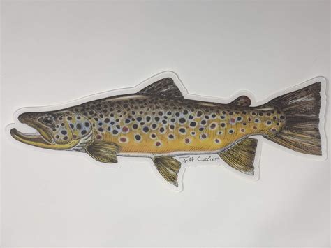 Trout And Fish Stickers Fly Fishing Decals Designed By