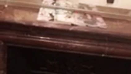 Free Belgrade Porn Videos Xhamster