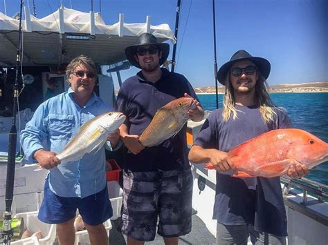 Fishing Charter Or Eco Wildlife Tour Business Opportunity In Coral Bay