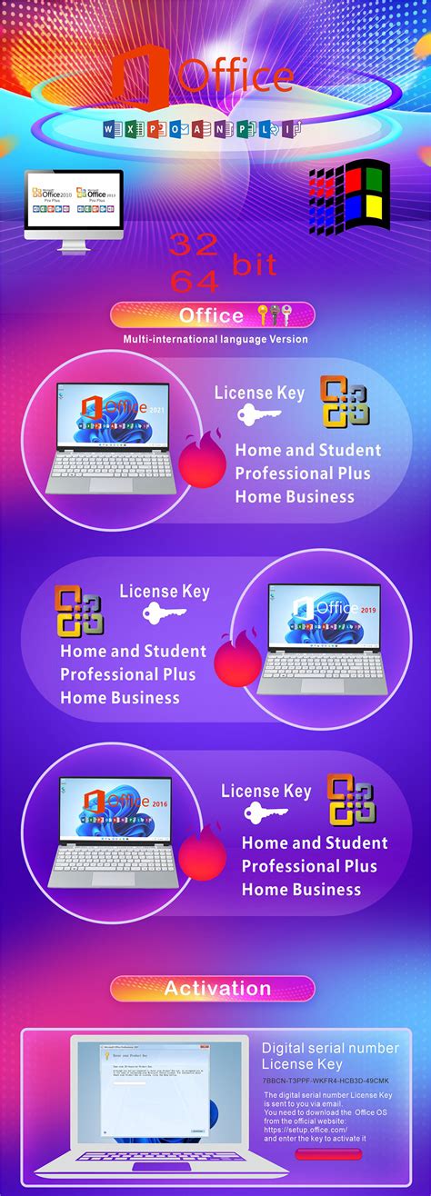Office 2019 Professional Plus 32/64-bit Online Activate License Key ...