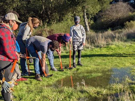 Talk at Saratoga Library, "Meadow Marvels: Sensitive Habitats and How