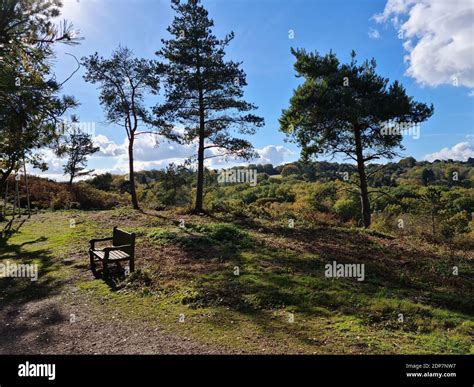 Lickey Hills Country Park, Lickey Stock Photo - Alamy