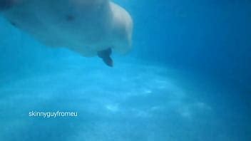 Nadando Pelado Na Picina Videos Porno Gay Sexo Gay