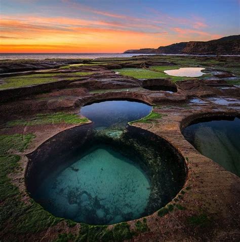 The Royal National Park | DinoAnimals.com