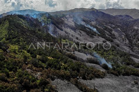 Kawasan Hutan Dan Lahan Gunung Bromo Kembali Terbakar Antara Foto