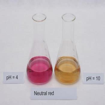 Neutral Red in Kalbadevi , Mumbai , Belami Fine Chemicals Private Limited | ID: 2412145591