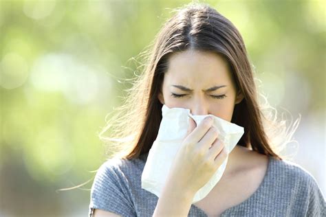 beat seasonal allergies  medication