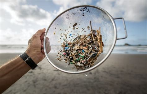 What Are Microplastics 10 Tips On How To Prevent Microplastics