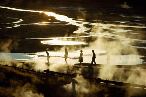 Photo Gallery: Classic Yellowstone -- National Geographic