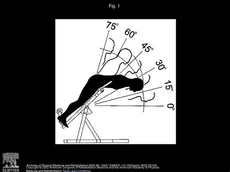 Electromyographic Activity Of The Trunk Extensor Muscles Effect Of