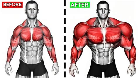 UPPER BODY WORKOUT WITH DUMBBELLS Shoulder Forearms Chest Triceps Back