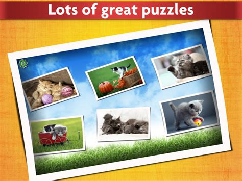 Cat Puzzles for Kids - Relaxing photo picture jigsaw puzzles for kids ...