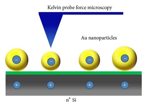 A Schematic Diagram Of The KPFM Measurements Of The AuNPs Deposited