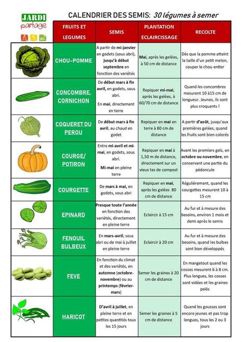 Calendrier des semis 30 légumes à semer Jardipartage