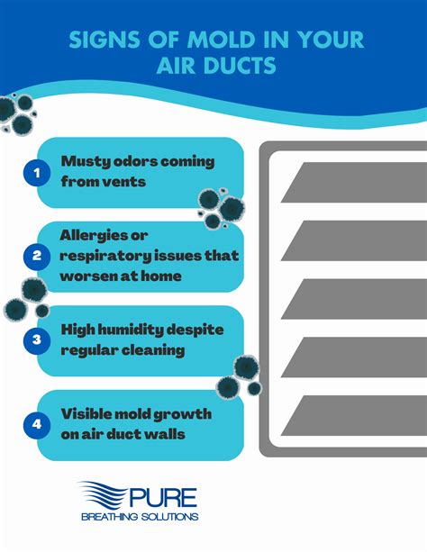 How to Identify and Remove Mold in Your Ductwork - Pure Breathing Solutions