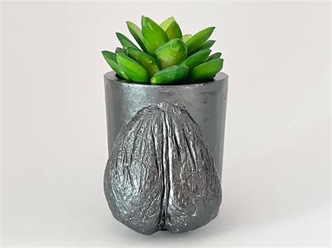 Ball Planter Nude Penis Pot Testicle Planter Succulent Eco Friendly Cup Pencil Pen Holder Etsy