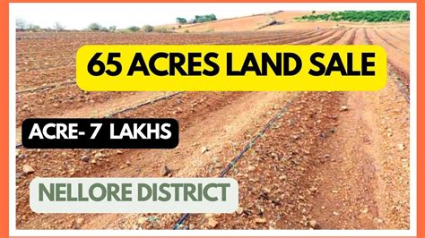 1000 65 Acres Land Sale Nellore District AP Muthukuru Village Acre 7