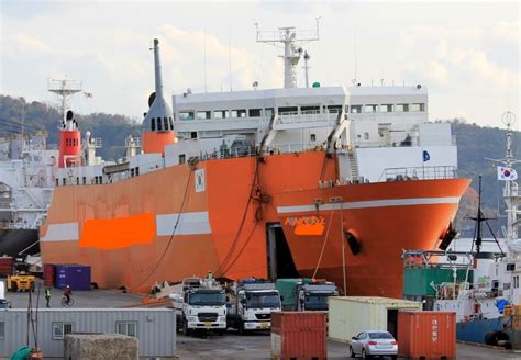 Roro Ship Broker